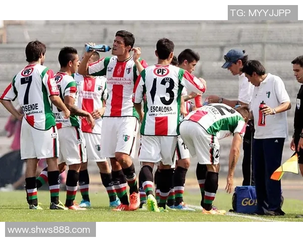 迪帕特斯与帕莱斯蒂诺激战在即谁能在这场对决中脱颖而出